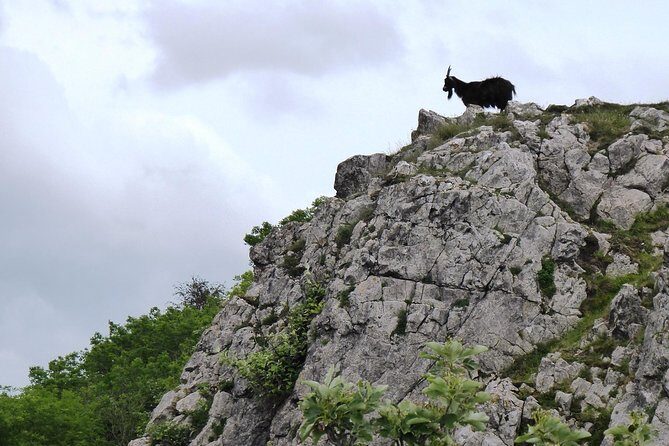 Wells, Cheddar Cheese and Cheddar Gorge - Private Day Trip from Bath - Final Thoughts