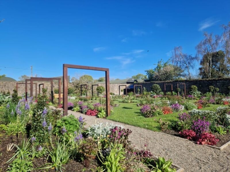 Wells House, Co Wexford: Entry, Picnic & Meerkat fun - An In-Depth Look at the Experience