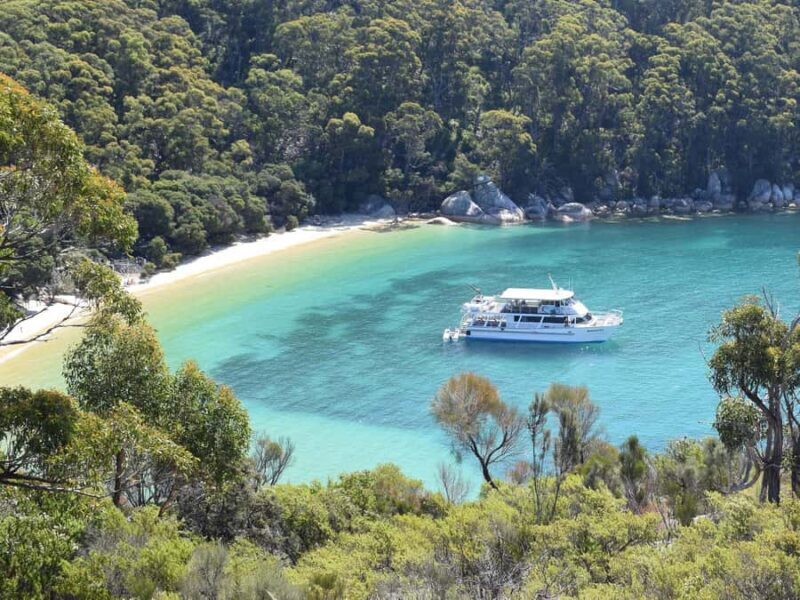Welshpool: Wilsons Promontory Nature and Wildlife Day Cruise - An Authentic Day on the Water with Wilsons Promontory