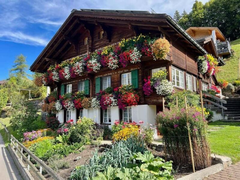 Wengen: Family-Friendly Countryside Farm Tour in Swiss Alps - A Genuine Look into Swiss Mountain Life