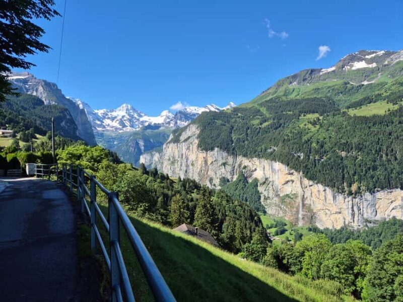 Wengen: Family-Friendly Countryside Farm Tour in Swiss Alps - Practical Details & What to Expect