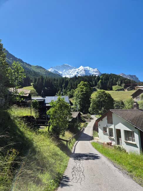 Wengen: Family-Friendly Countryside Farm Tour in Swiss Alps - FAQ