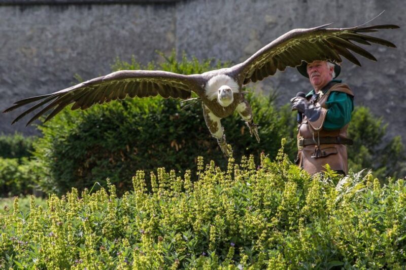 Werfen: Hohenwerfen Castle Entrance Ticket - What Reviewers Say