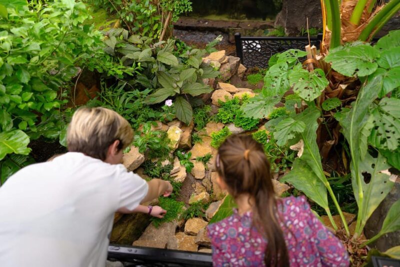 West Berkshire,UK: The Living Rainforest Centre Entry Ticket - A Deep Dive into the Experience