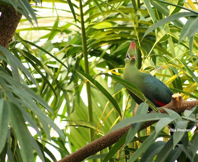 West Berkshire,UK: The Living Rainforest Centre Entry Ticket - Who Should Visit?