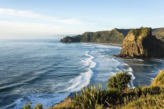 West Coast Discovery - Piha Beach or Muriwai Beach from Auckland - Exploring the West Coast of Auckland: A Practical Review of the Piha & Muriwai Tour
