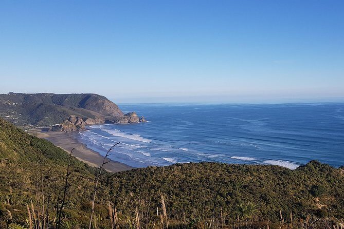 West Coast Discovery - Piha Beach or Muriwai Beach from Auckland - Key Points