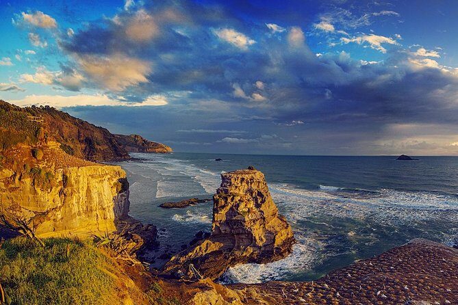 West Coast Discovery - Piha Beach or Muriwai Beach from Auckland - Transport and Comfort