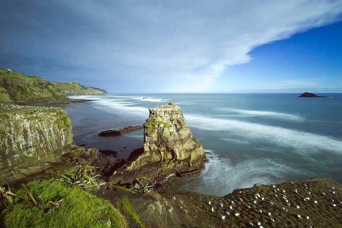 West Coast Discovery - Piha Beach or Muriwai Beach from Auckland - The Price and Overall Value