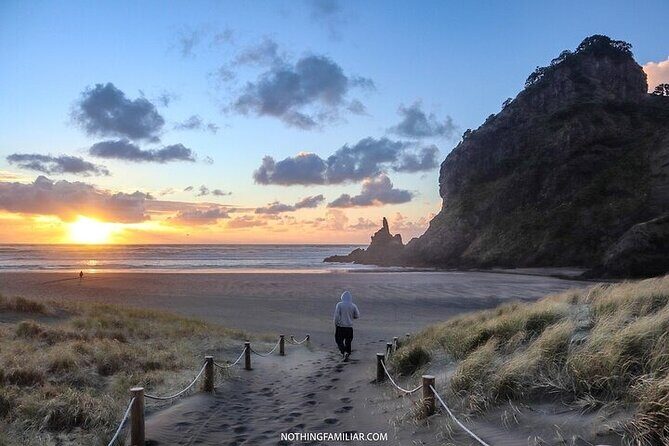 West Coast Discovery Piha Beach Private Tour - An In-Depth Look at the Tour Experience