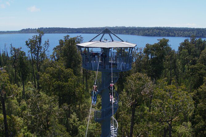 West Coast Tower Zipline & Treetop Walk Combo - Key Points
