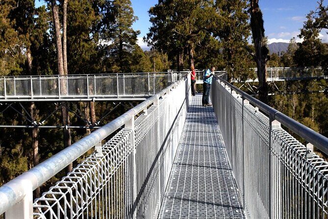 West Coast Tower Zipline & Treetop Walk Combo - An Authentic Treetop and Zipline Adventure