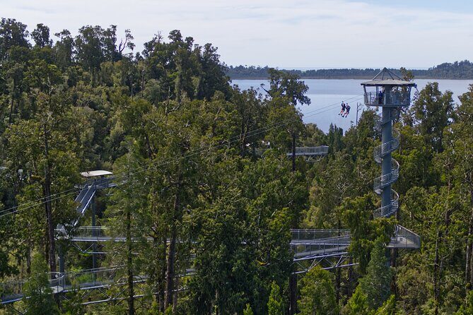 West Coast Tower Zipline & Treetop Walk Combo - The Sum Up: Is It Worth It?