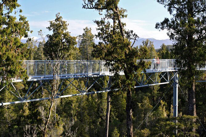 West Coast Treetop Walk - Key Points