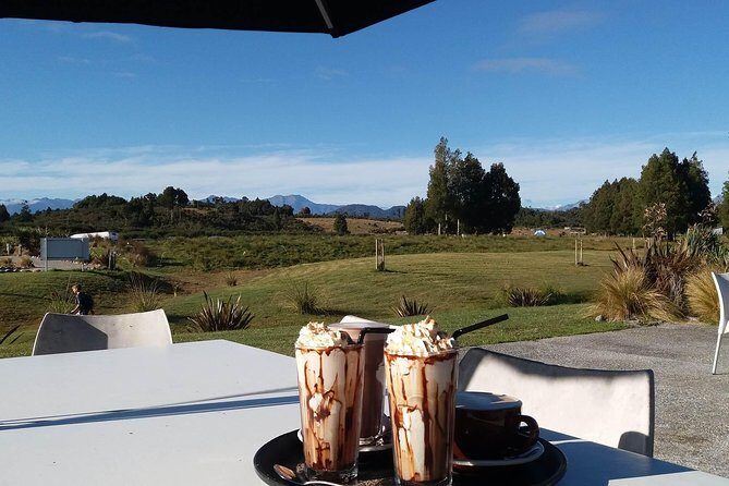 West Coast Treetop Walk - Adding Adventure: The Zipline Option