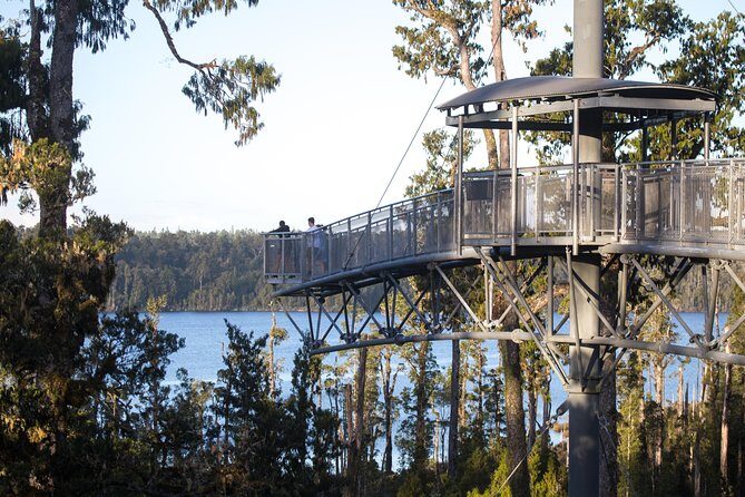 West Coast Treetop Walk - Practical Considerations and Tips