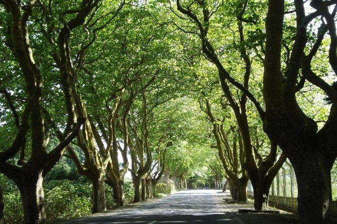 West Coast Van Tour (Half Day) | Terceira Island - FAQs