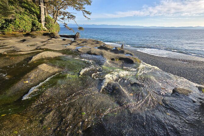 West Coast Wildlife Rainforest Waterfall and Beaches - Frequently Asked Questions