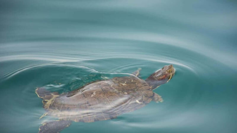 WEST CRETE:CHANIA-KOURNAS-RETHIMNO - Key Points