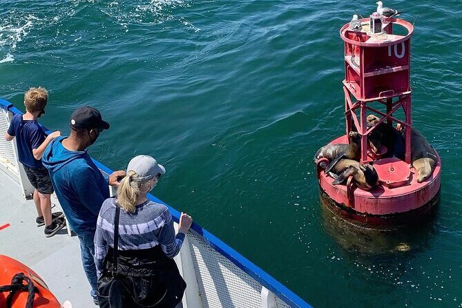 West Harbor LA 45-Minute Narrated Harbor Cruise of San Pedro - Why This Tour is a Good Pick for You