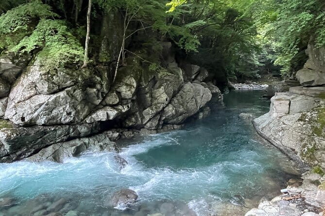 West IZU Uncovered Tour Cave Cruise and Monkey Encounter - Key Points