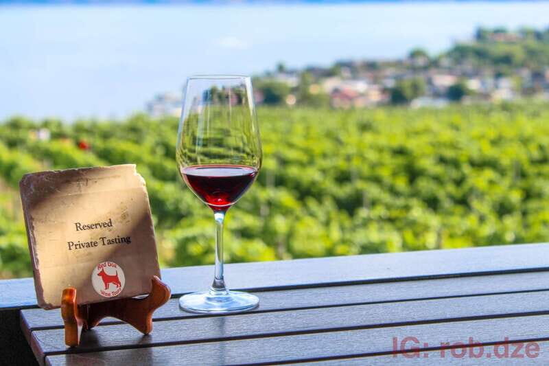 West Kelowna: Afternoon Sightseeing and Wine Tour - The Experience in Detail