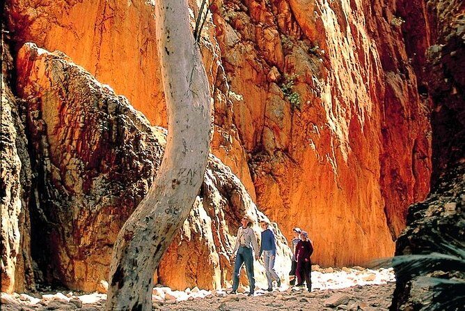 West MacDonnell Ranges Day Trip from Alice Springs - In-Depth Review of the Tour Experience