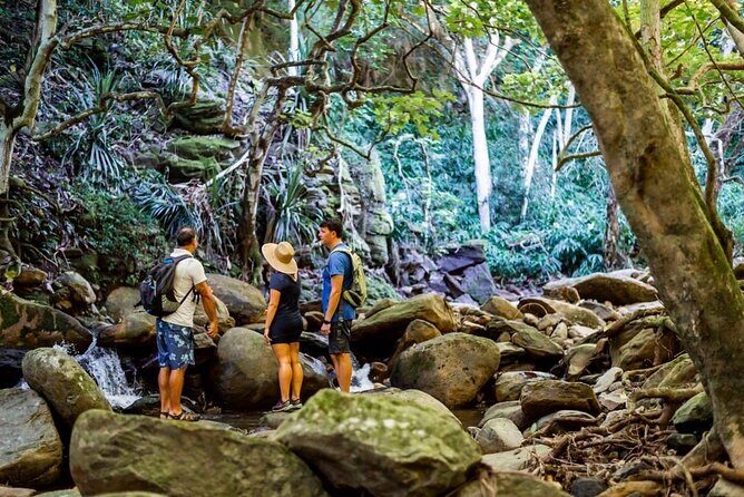 West Maui Adventure Tour with Private Guide - In-Depth Look at the Itinerary and Key Stops