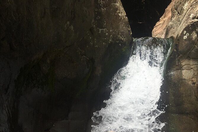 West Maui Adventure Tour with Private Guide - Final Thoughts: Who Will Love This Tour?