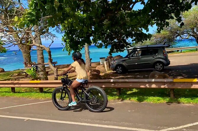 West Maui eBike Island Explorer Full-Day Rental - Who Would Love This Experience?