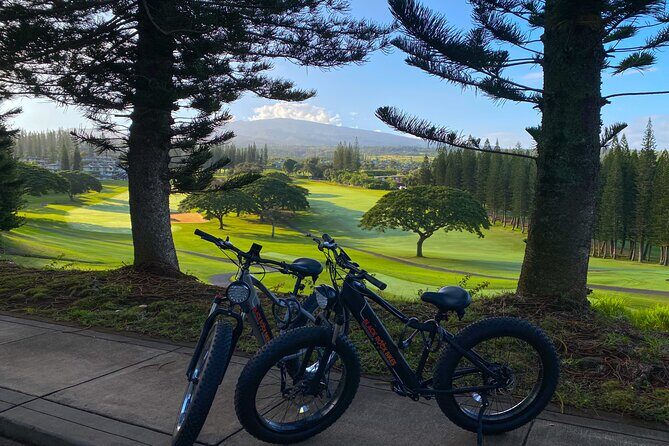 West Maui: Self-Guided E-Bike Kapalua Jungle Adventure Tour - FAQ