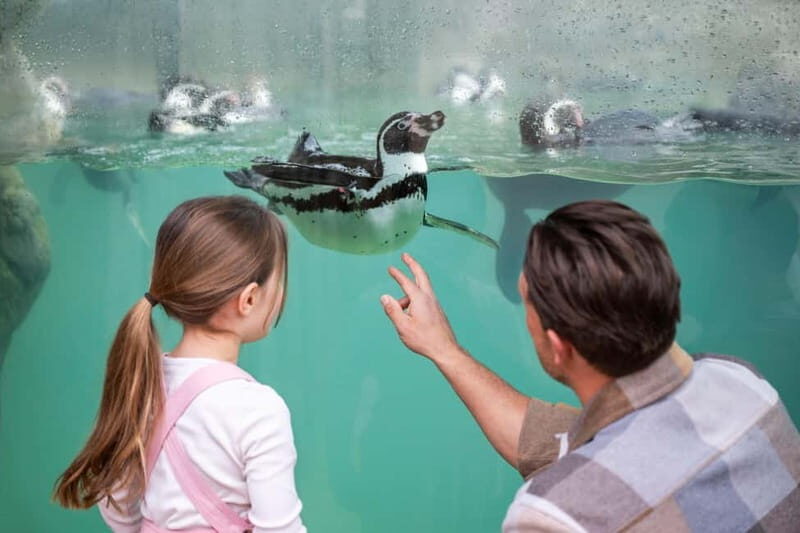 West Midlands Safari Park: Day Admission Ticket - Key Points