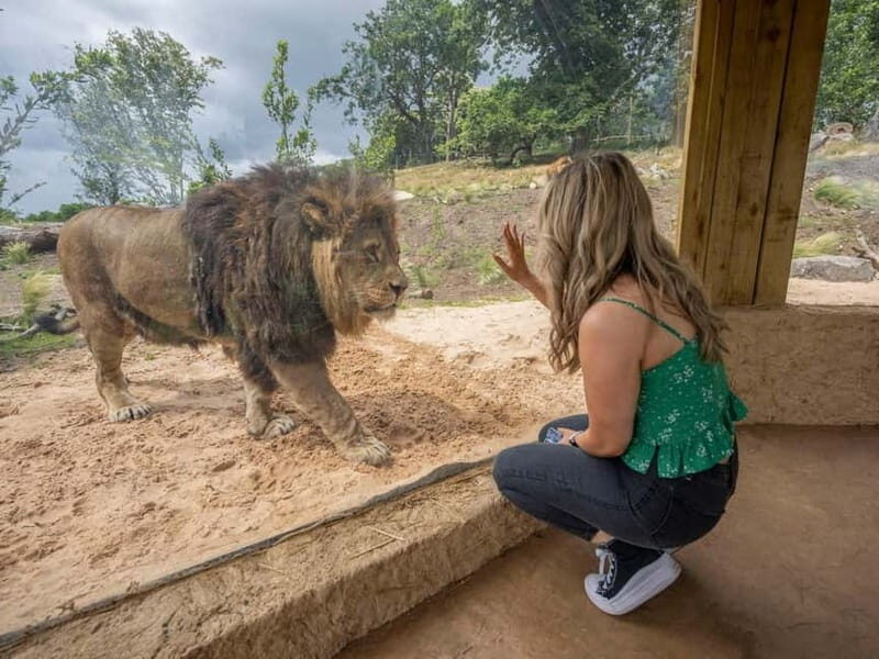 West Midlands Safari Park: Day Admission Ticket - Exploring the Park: What You Can Expect