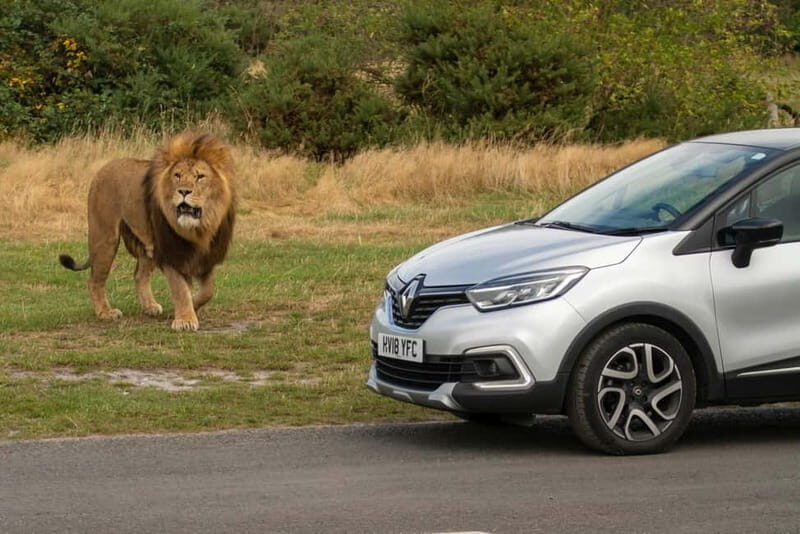 West Midlands Safari Park: Day Admission Ticket - FAQ