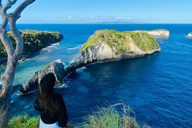West Nusa Penida Island Tours From Lembongan - Who Is This Tour Best For?