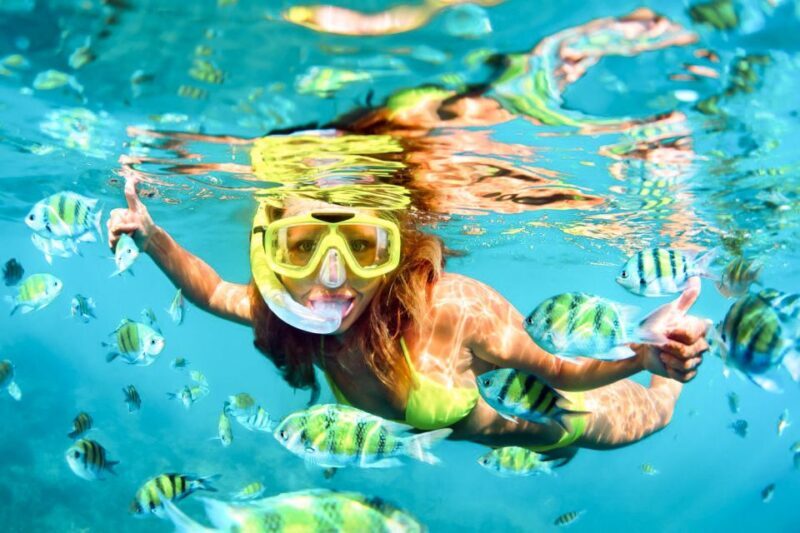 West Oahu: Turtles, Dolphins, and Snorkeling Tour with Lunch - A Closer Look at the Experience