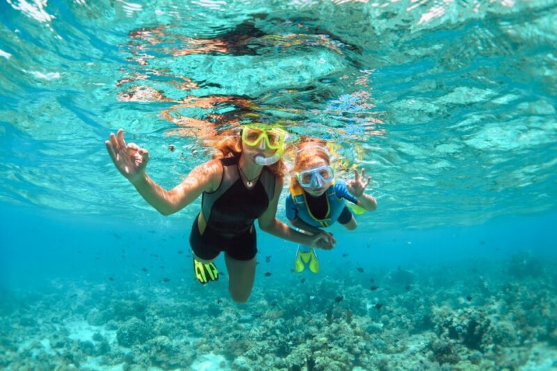 West Oahu: Turtles, Dolphins, and Snorkeling Tour with Lunch - Frequently Asked Questions