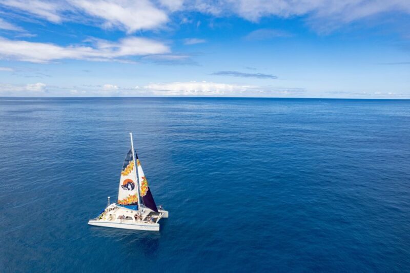 West Oahu: Turtles, Dolphins, and Snorkeling Tour with Lunch - Final Thoughts