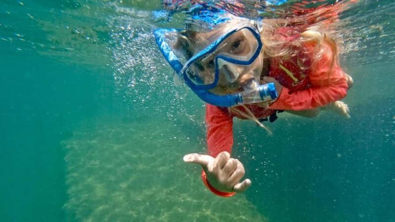 West Palm Beach: Beginner Snorkel Tour with Turtles & Videos - Key Points