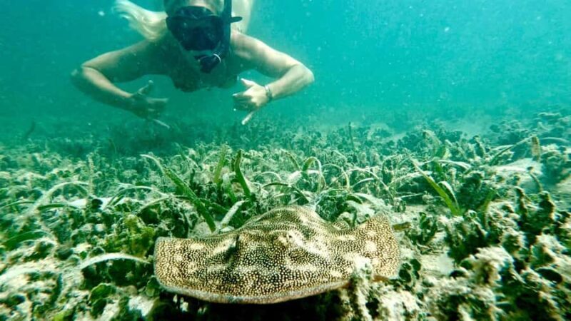 West Palm Beach: Beginner Snorkel Tour with Turtles & Videos - The Itinerary: What to Expect