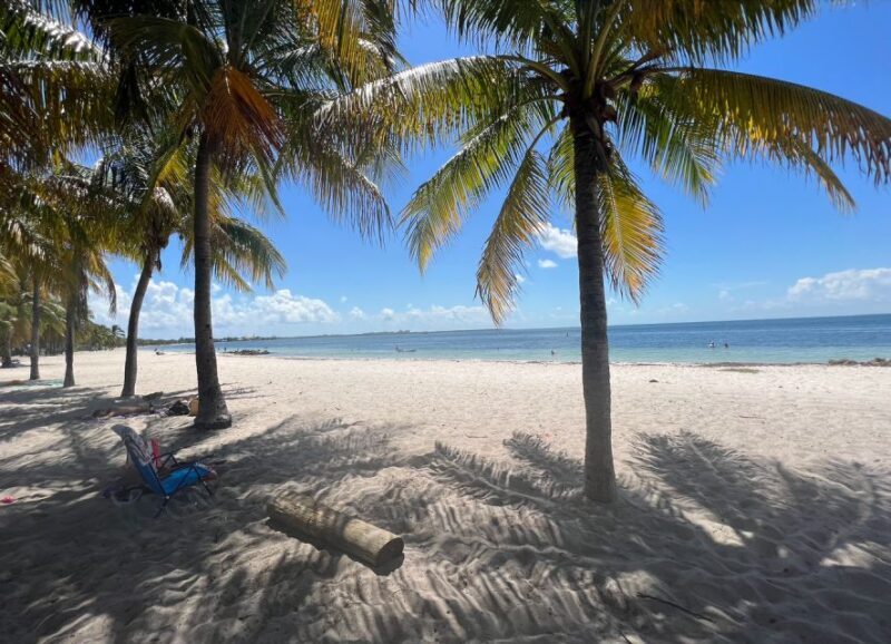 West Palm Beach: Beginner Snorkel Tour with Turtles & Videos - What Makes This Snorkeling Tour Stand Out?