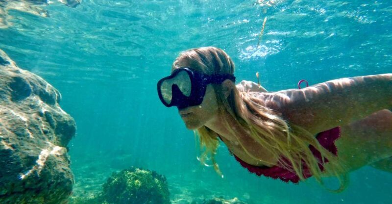 West Palm Beach: Beginner Snorkel Tour with Turtles & Videos - Practical Details: What to Know Before You Go