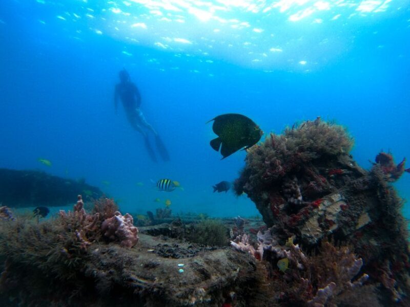 West Palm Beach: Blue Heron Bridge Guided Snorkeling Tour - Key Points