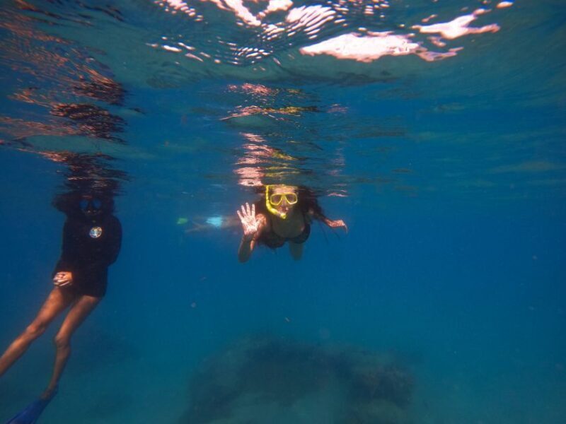 West Palm Beach: Blue Heron Bridge Guided Snorkeling Tour - What Makes This Snorkeling Tour Stand Out?