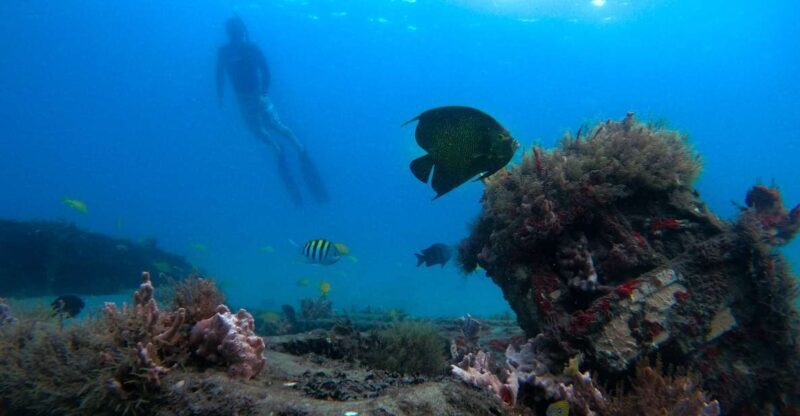 West Palm Beach: Blue Heron Bridge Guided Snorkeling Tour - What’s Included and What to Bring