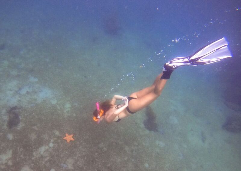 West Palm Beach: Blue Heron Bridge Guided Snorkeling Tour - FAQ
