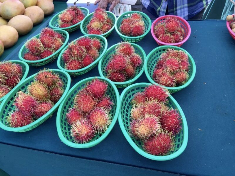 West Palm Beach: Mornings in the Market Food Tour - A Deep Dive into the Experience