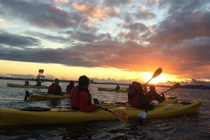West Seattle Sunset Sea Kayak Tour - Meeting Point and Logistics