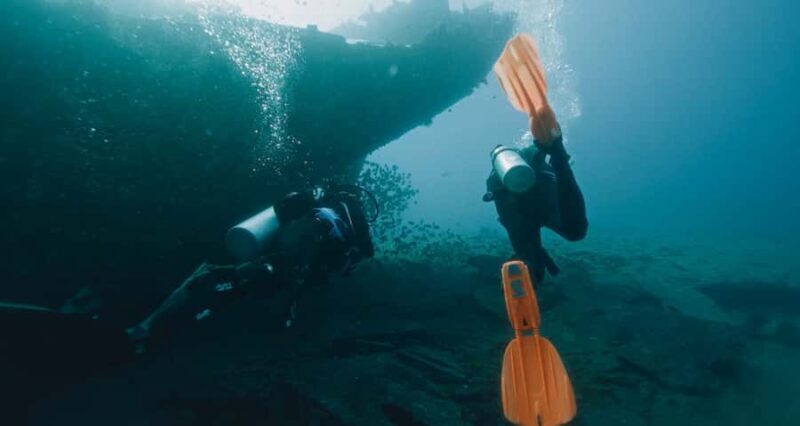 West Shore Oahu Shallow Reef Scuba Dive for Certified Divers - Key Points