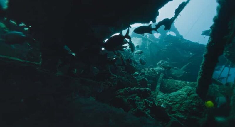 West Shore Oahu Shallow Reef Scuba Dive for Certified Divers - An Introduction to the Experience